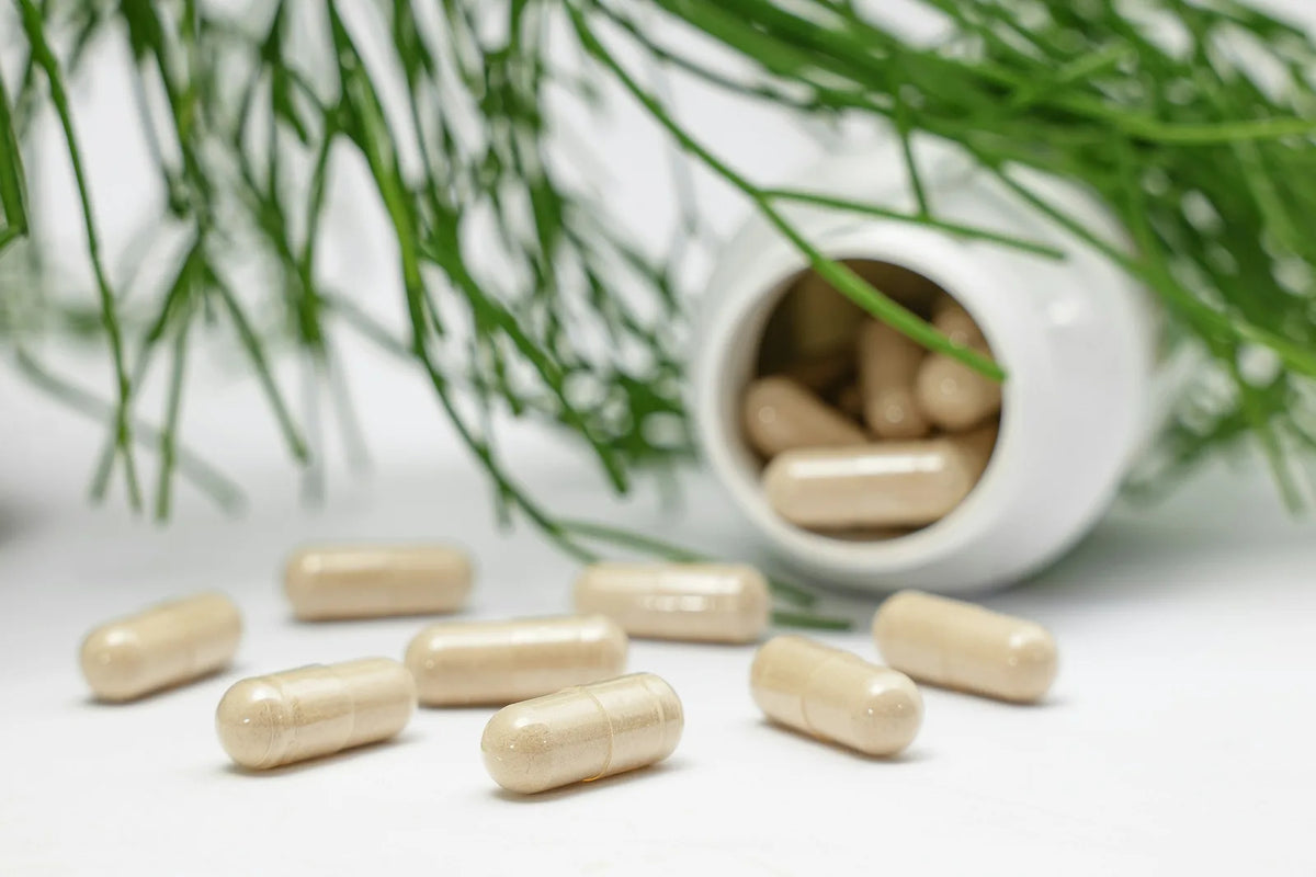 Beige capsules spilling out of a white bottle beside green sprigs