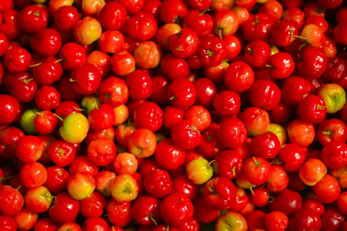 A heap of ripe red acerola cherries